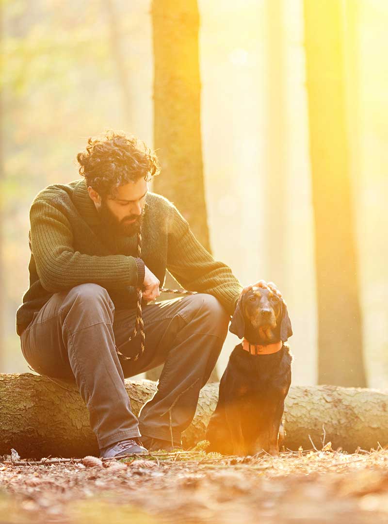 MannHundWald_800x1080