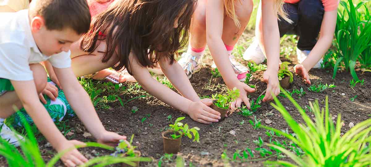 KinderPflanzen_1200x542