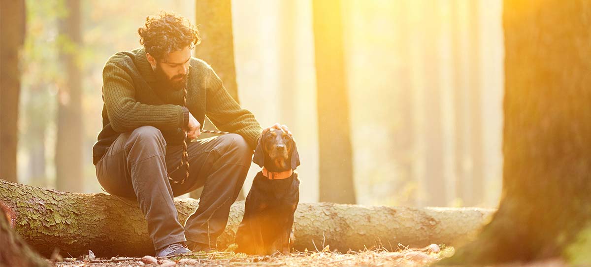 MannHundWald_1200x542
